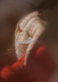 狐狸